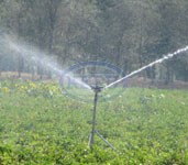 agriculture and landscape irrigation